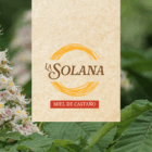 LASOLANA WEB imagen box