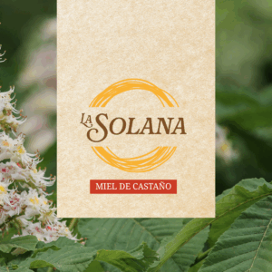 LASOLANA WEB imagen box