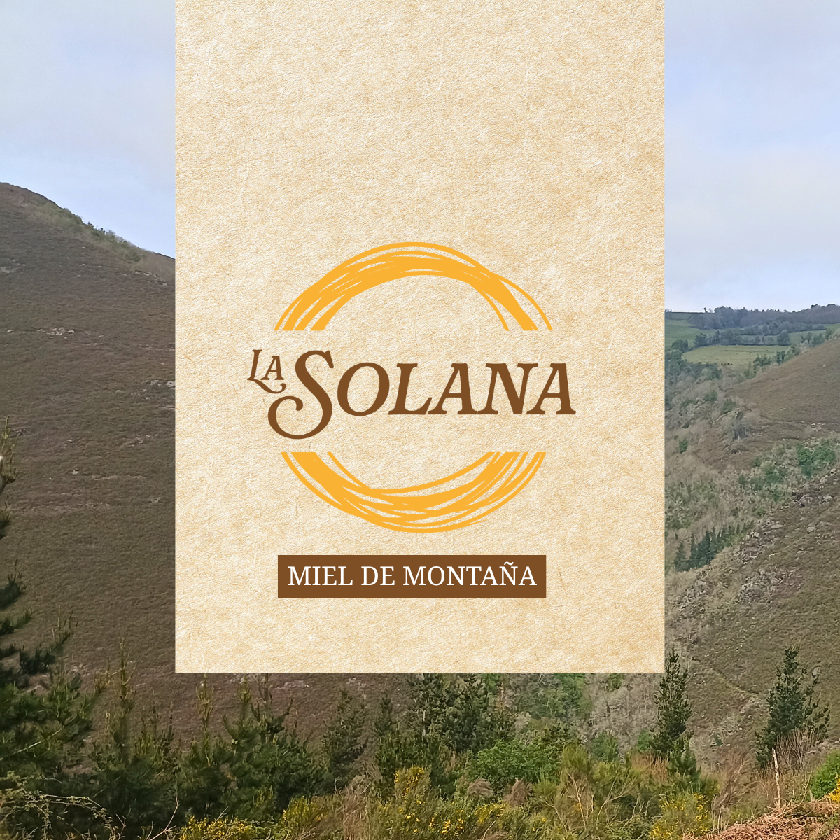 LASOLANA WEB imagen box miel de montania