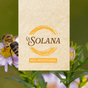 LASOLANA WEB imagen box miel multifloral
